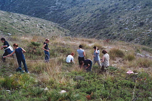 Students studying the impact of fire on the vegetation