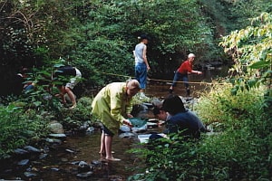 Geography field studies
