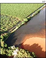 Aerial view of the Guadimar river