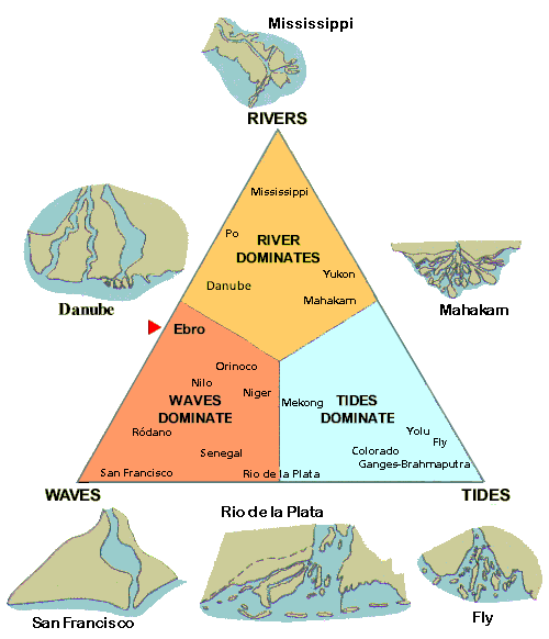 diagram of the deltaic formations in accordance with
the relative importance of the river deposits, the force of the waves
and the influence of tides