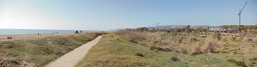 Managed dune ecosystem at the Gava coastal
walkway (February 2008)