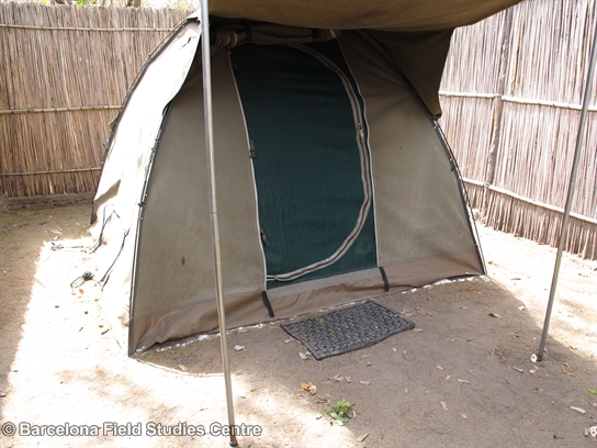 Mvuu Camp camping area