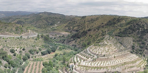 Priorat vineyards often face northeast to protect the grapes from the afternoon sun