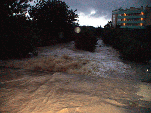 Flood at El Muntanyans (2005)
