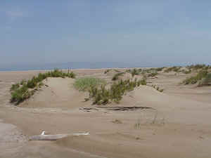 Ebro Dunes