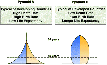 Population Structure Annotated Population Pyramids