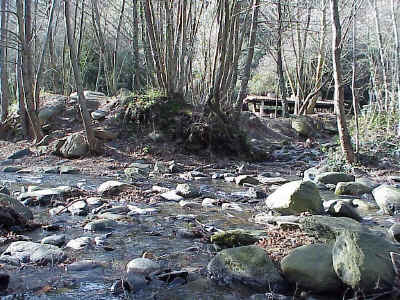 River Tordera