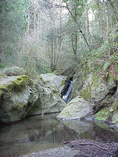 River Tordera 