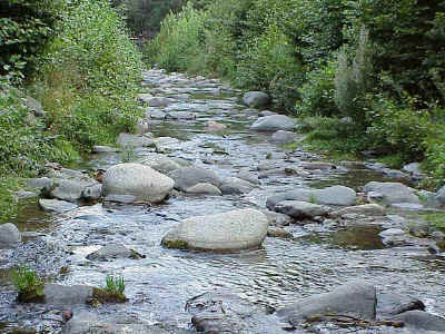 River Tordera 
