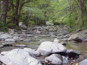 River Tordera, Montseny Natural Park