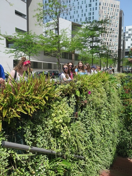 IMG4448Copy.JPG