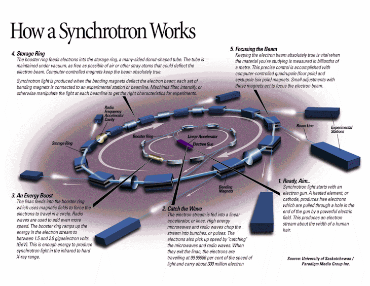 How a synchrotron works