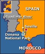 Location of doñana national park