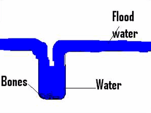 Flood in Theory