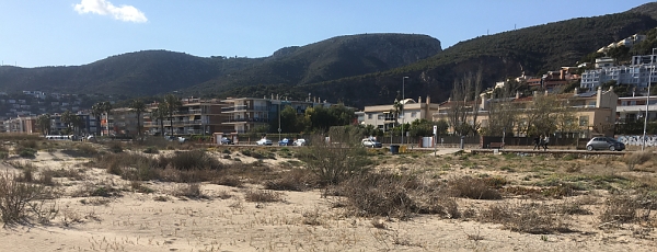 Castelldefels dune vegetation