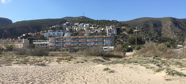 Castelldefels dune vegetation