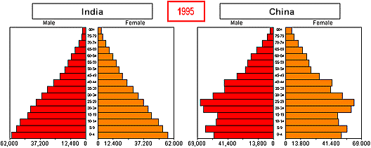 China & India, 1995: Total Population by Age and Sex