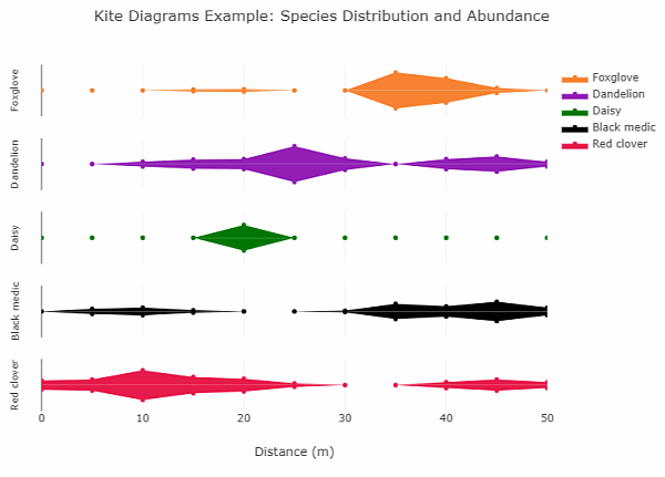 Kite Diagrams Example
