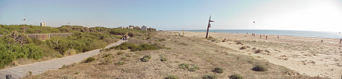 Unmanaged dune ecosystem at the Gava coastal
walkway (February 2008)