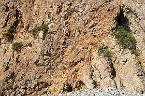 Faulting and folding at Sitges, Barcelona