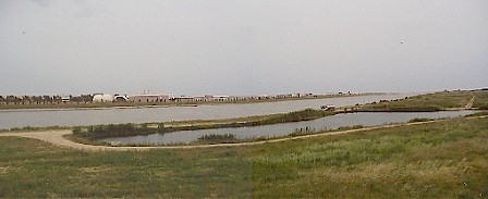 New wetland created at the mouth of the River Llobregat