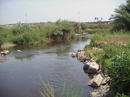River Llobregat immediately upstream of the managed channel