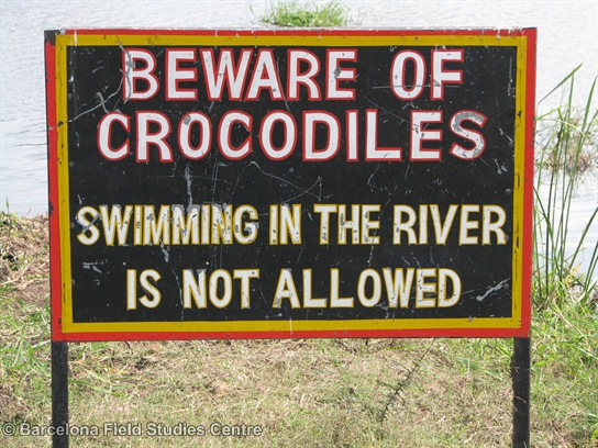 Mvuu Camp crocodile warning