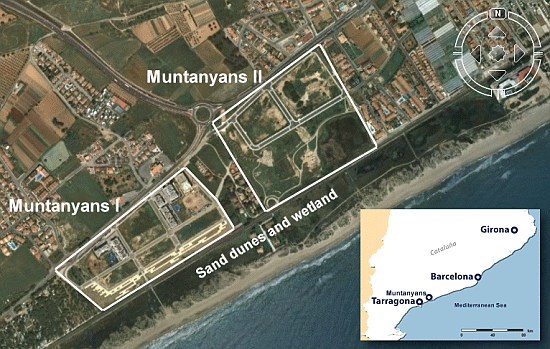 Location of the Muntanyans development