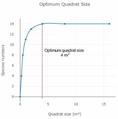 Optimum quadrat size species-area curve