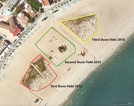 The three experimental dune fields