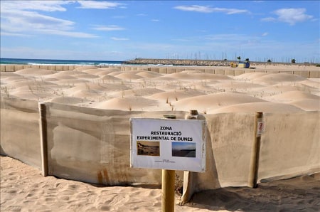 First experimental dune field