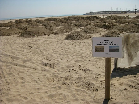 First experimental dune field