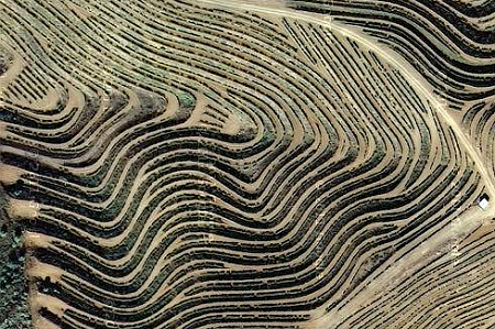 Torres Vineyard Priorat (Google Maps)