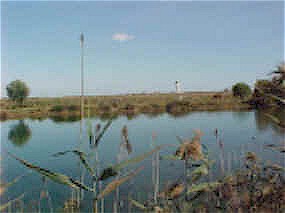 Llobregat Delta: view across towards the airport