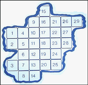 sampling grid overlay